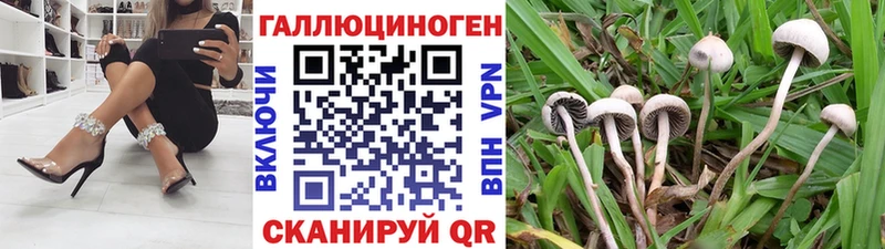 наркота  Липецк  Галлюциногенные грибы Cubensis 