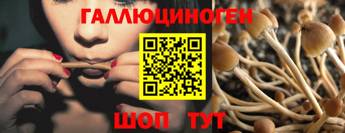 Галлюциногенные грибы Magic Shrooms Липецк